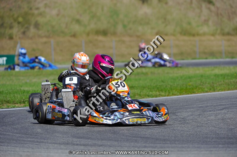 DSC_ (1393).jpg